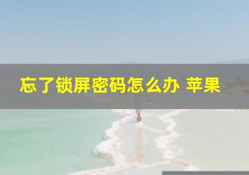 忘了锁屏密码怎么办 苹果